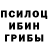 Галлюциногенные грибы GOLDEN TEACHER Ismayil Ishal