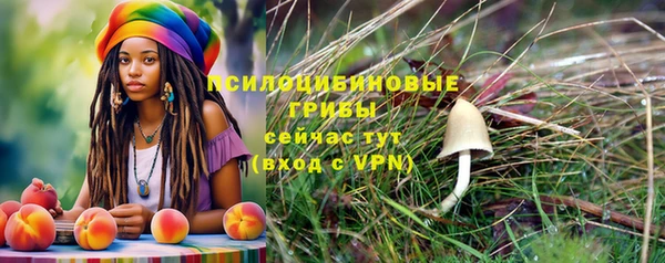 MDMA Premium VHQ Белокуриха