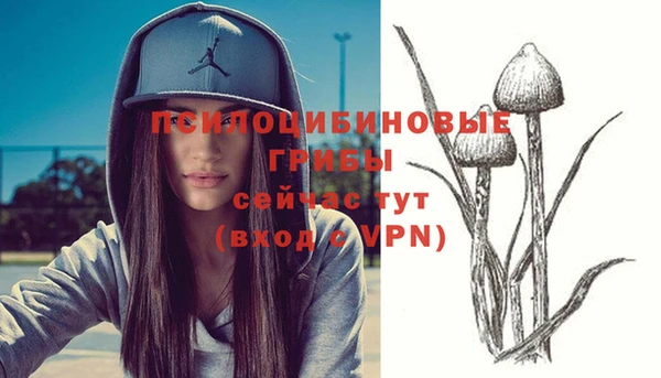 кокс Богородицк