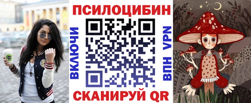 купить наркотик  Вельск  Псилоцибиновые грибы ЛСД 